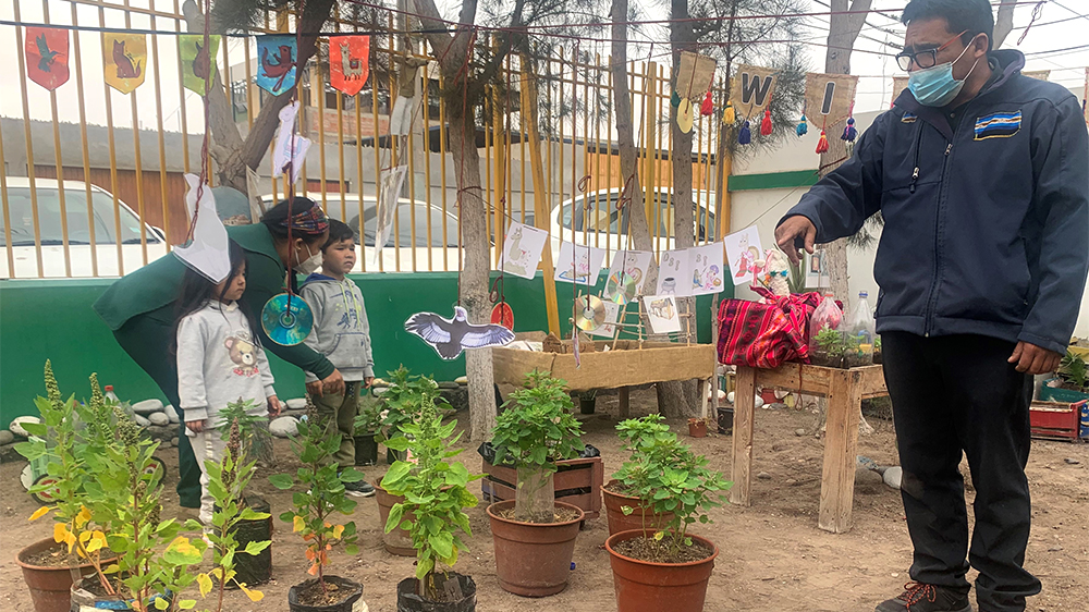 En Jardín Infantil “Avioncito” de Arica cultivan alimentos andinos