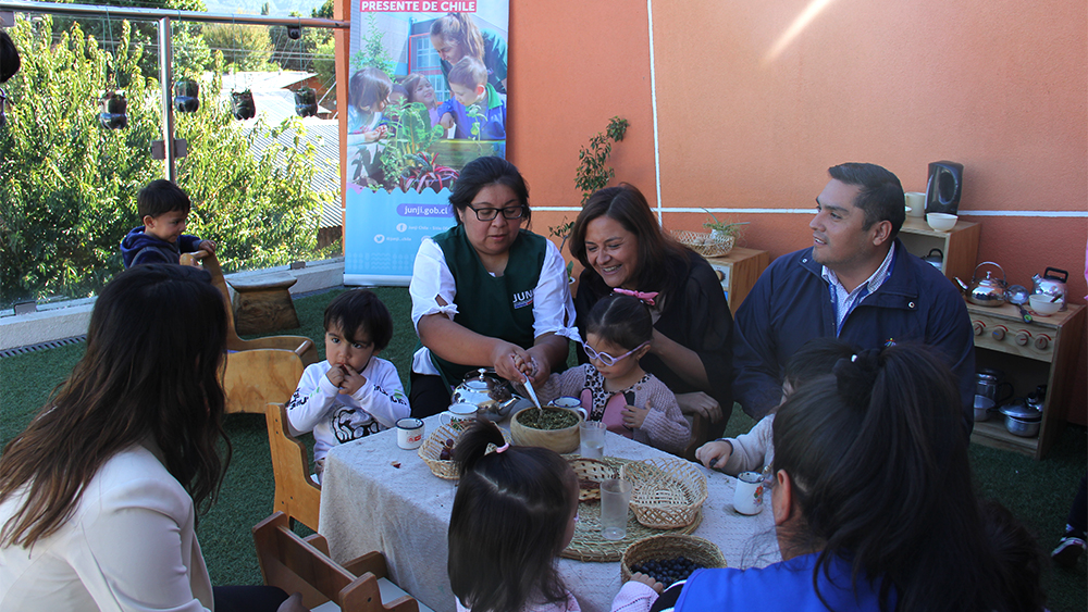 Junji Araucanía finaliza exitoso programa jardines infantiles de Verano